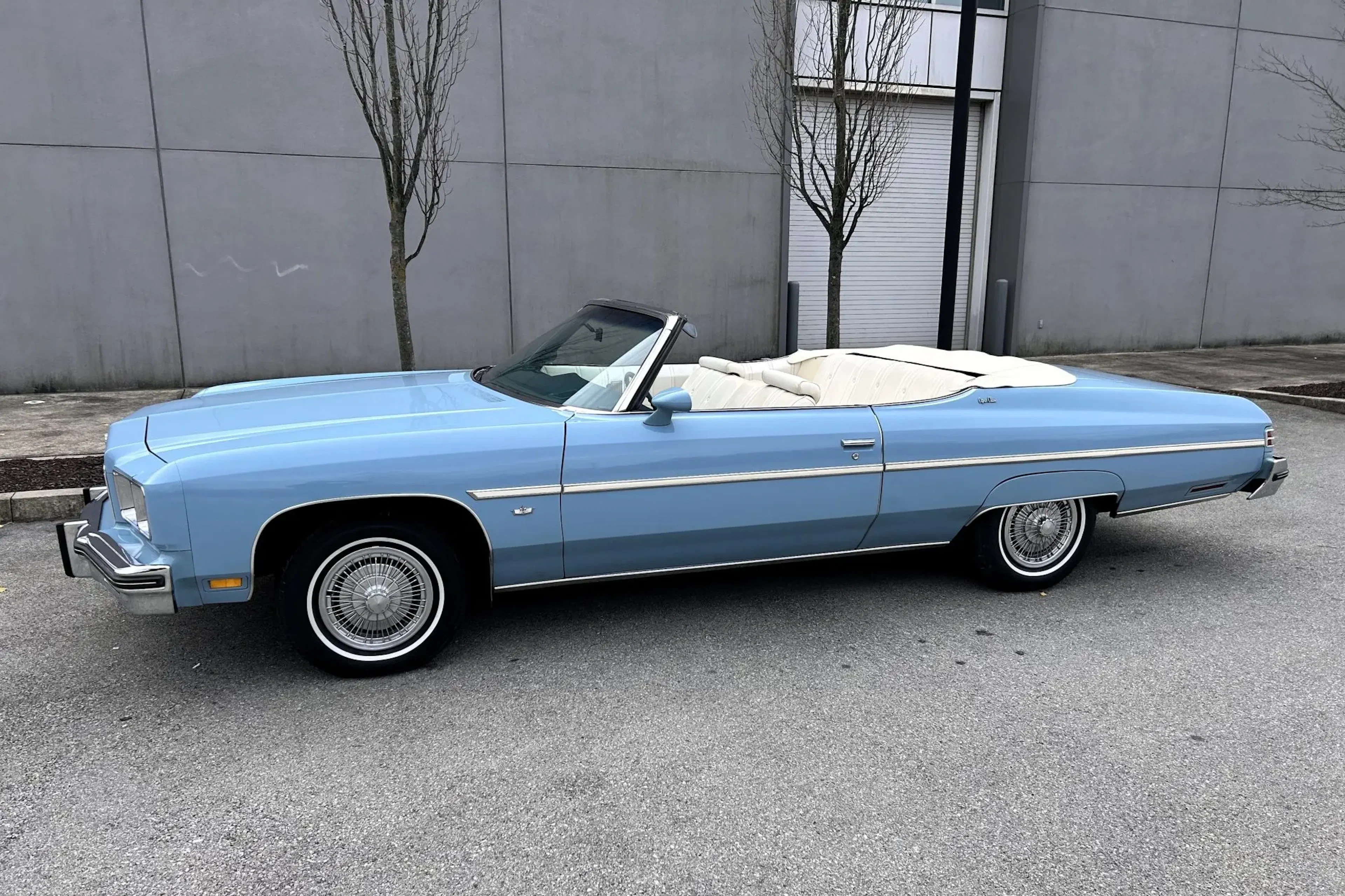 1975 Chevrolet Caprice Classic VIN 1N67H5Y193404 | Hagerty